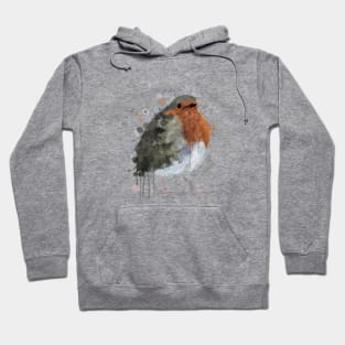 Robin Redbreast Hoodie